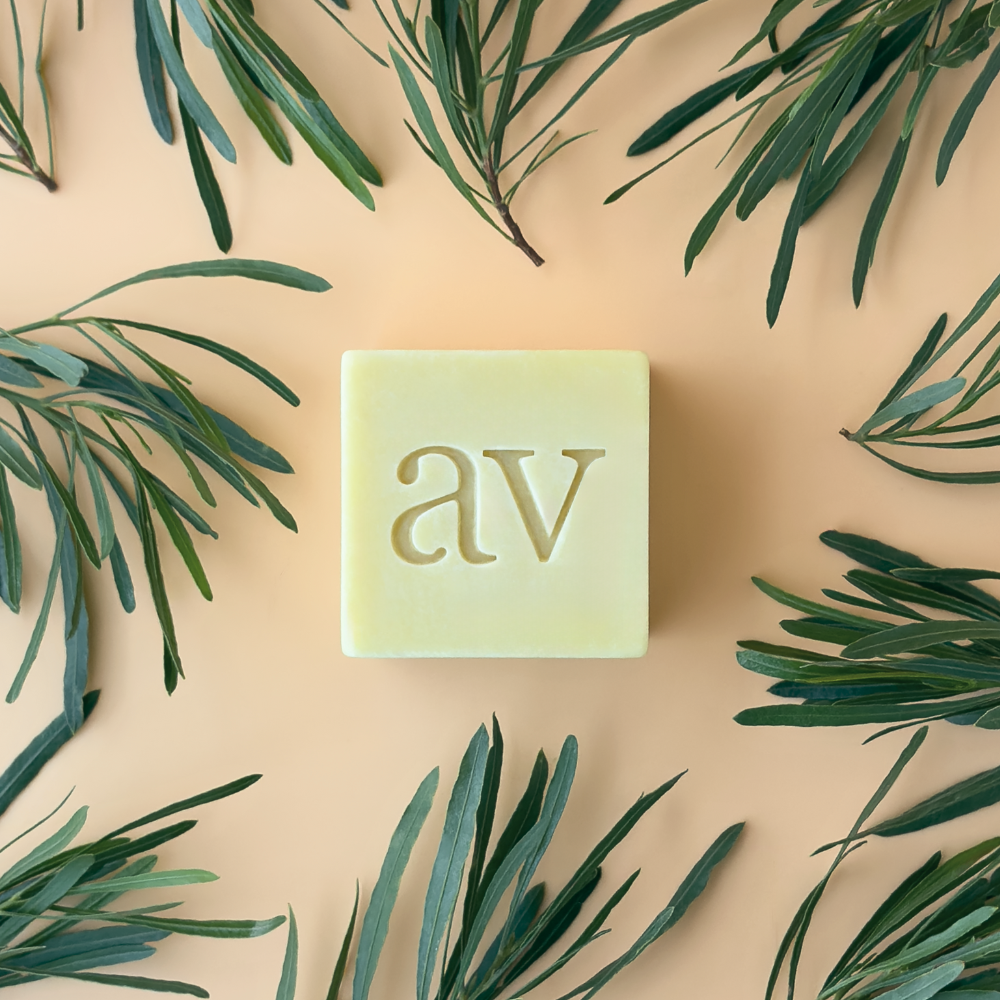 Buchu & Tea Tree Moisturising Blok • Aardvel • • Cape Town, South Africa