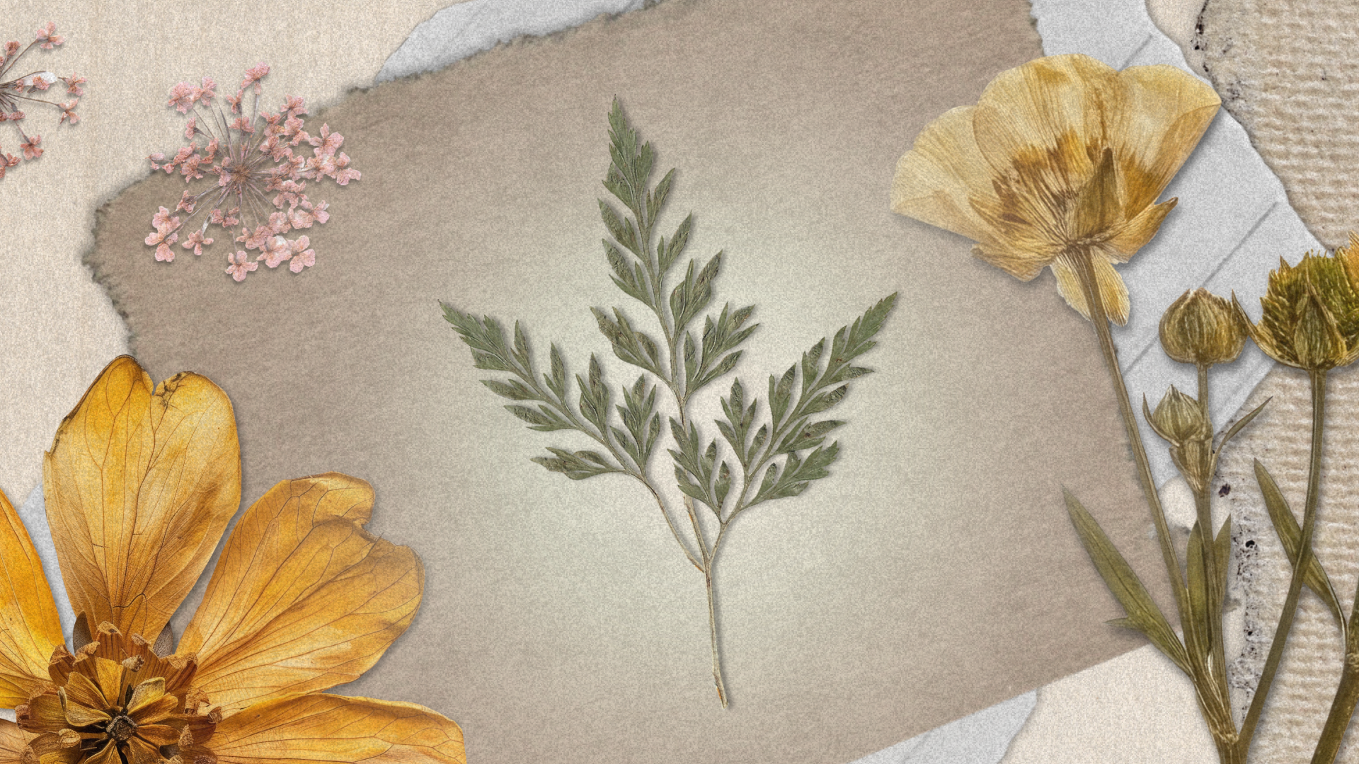 Own Less, Skin Better