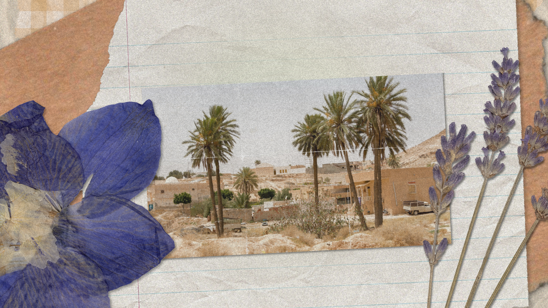 Skincare for the African Sun: Why localized ingredients work better for us