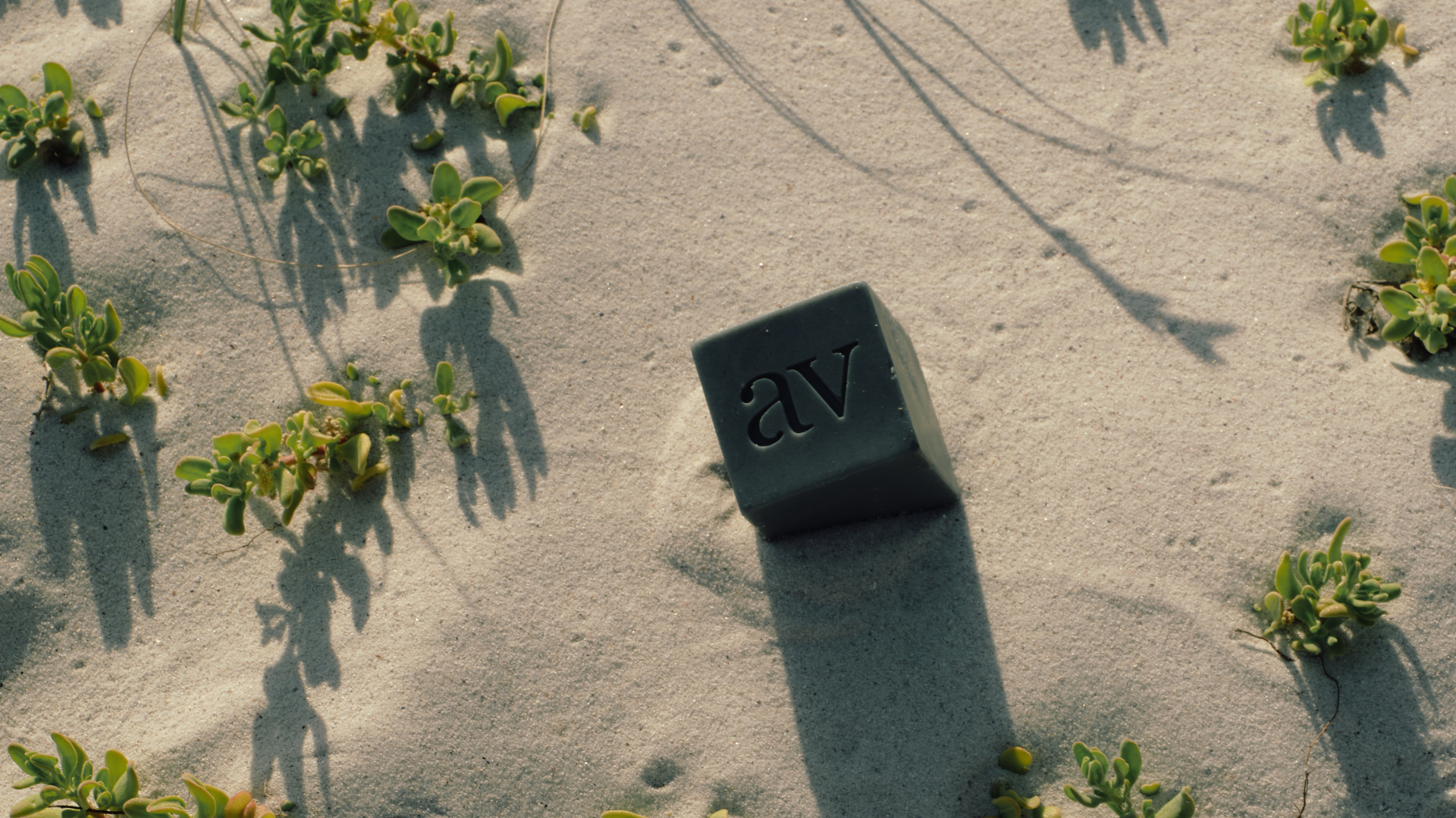 The Art of Mindful Skincare Rituals: How Aardvel's Solid Bars Transform Your Daily Routine