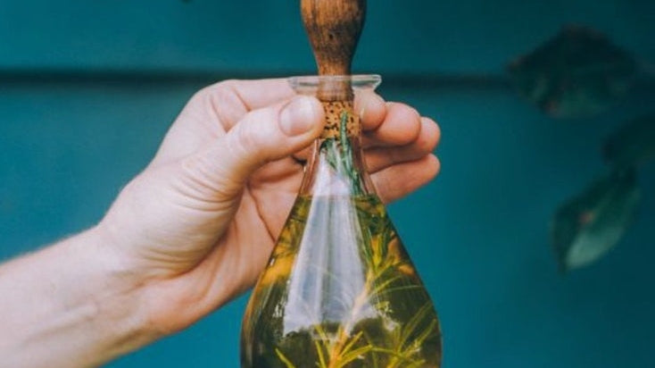 Rosemary in Skincare and Haircare: Nature’s Invigorating Tonic