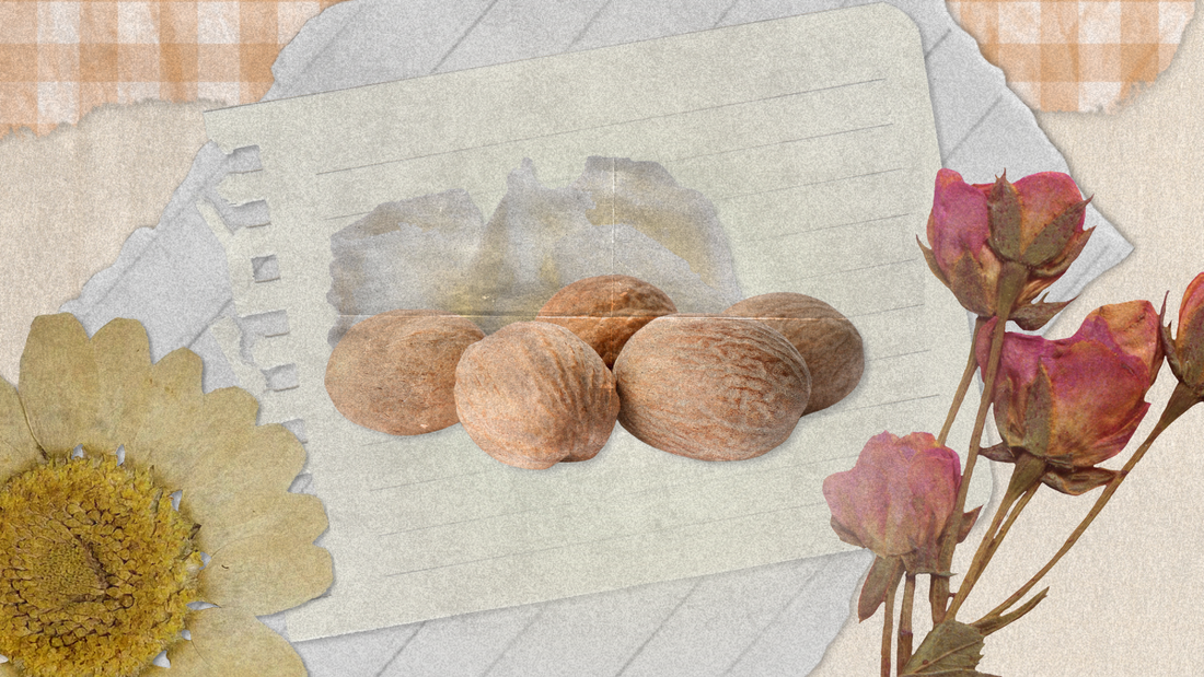 Shea Butter for Skin and Hair: Nature’s Ultimate Moisturiser and Healer