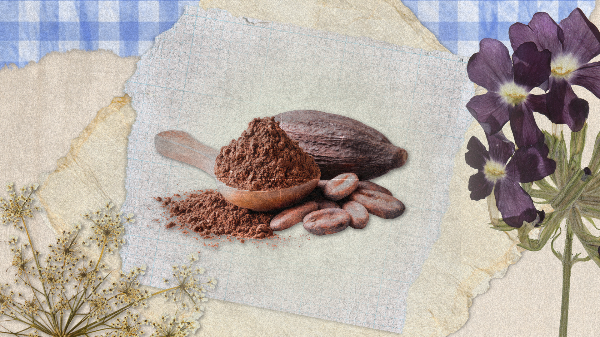 Cocoa Butter in Skincare: Deep Moisture with a Silken Touch