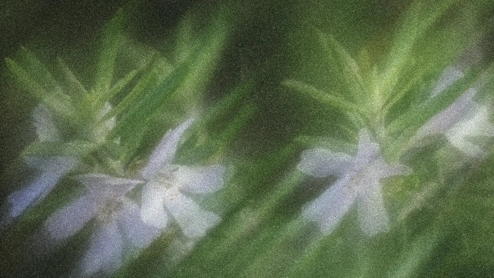 Rosemary in Skincare and Haircare: Nature’s Invigorating Tonic