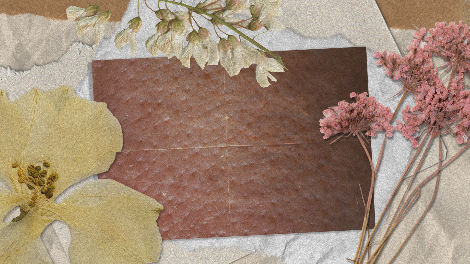 The Anatomy of a Pore: How Solid Oils Help Prevent Comedogenic Blockages