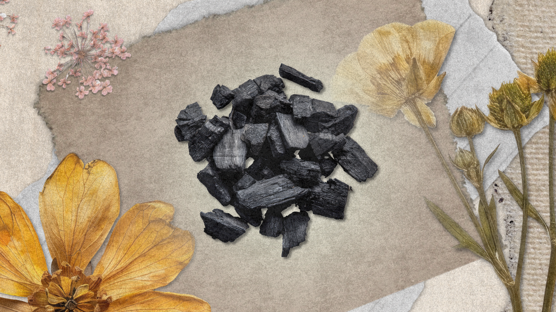 Activated Charcoal for Skin: The Ultimate Detox Ingredient