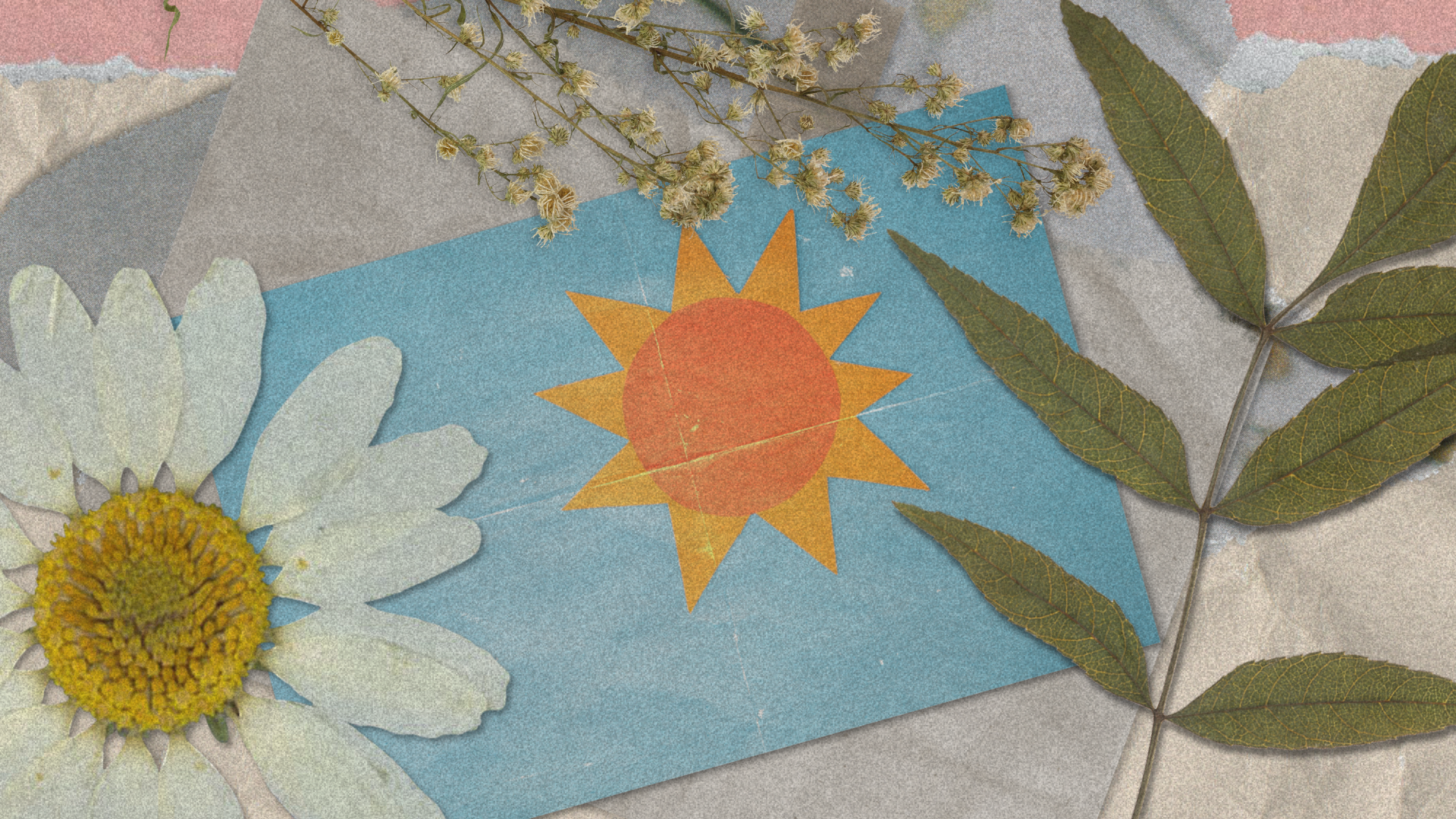 Sun Damaged Scalp Relief: How to Soothe a Sunburned Scalp