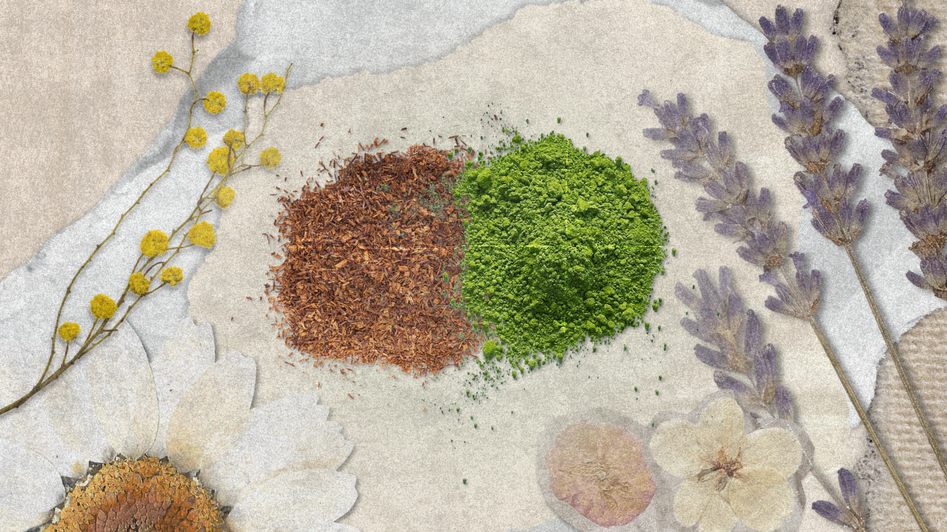 Rooibos vs Green Tea: Understanding Antioxidant Load in Skincare