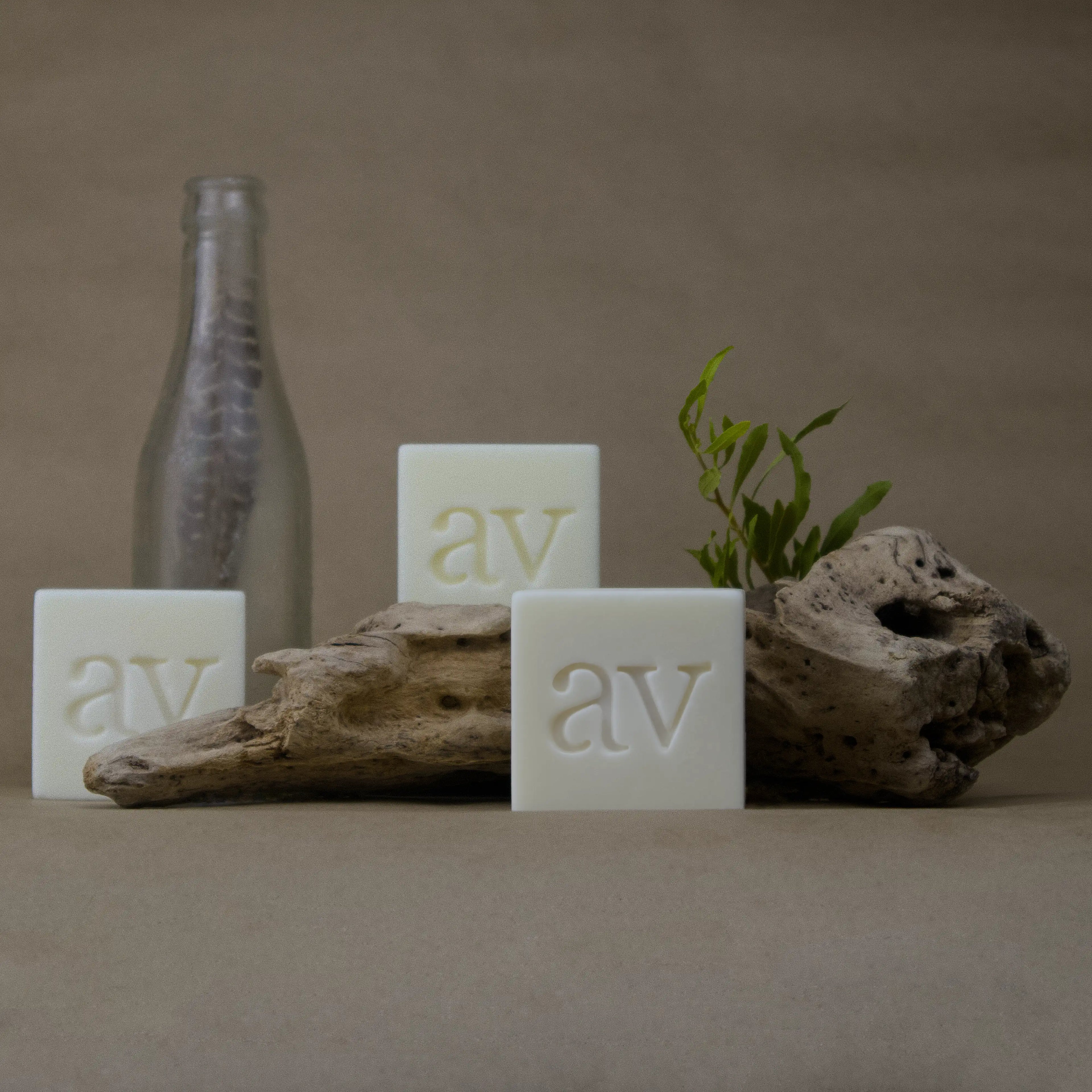 Hair Cleansing Bloks Collection | Aardvel