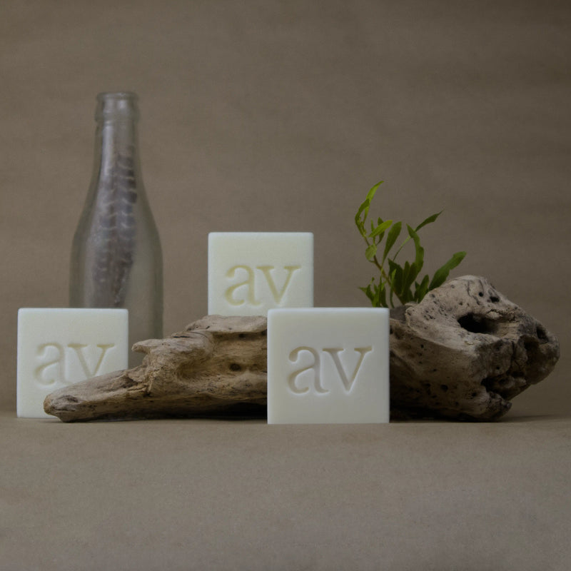 Hair Cleansing Bloks Collection | Aardvel