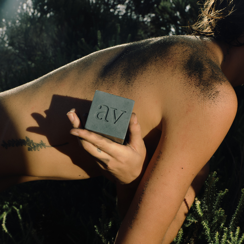 Skin Cleansing Bloks Collection | Aardvel