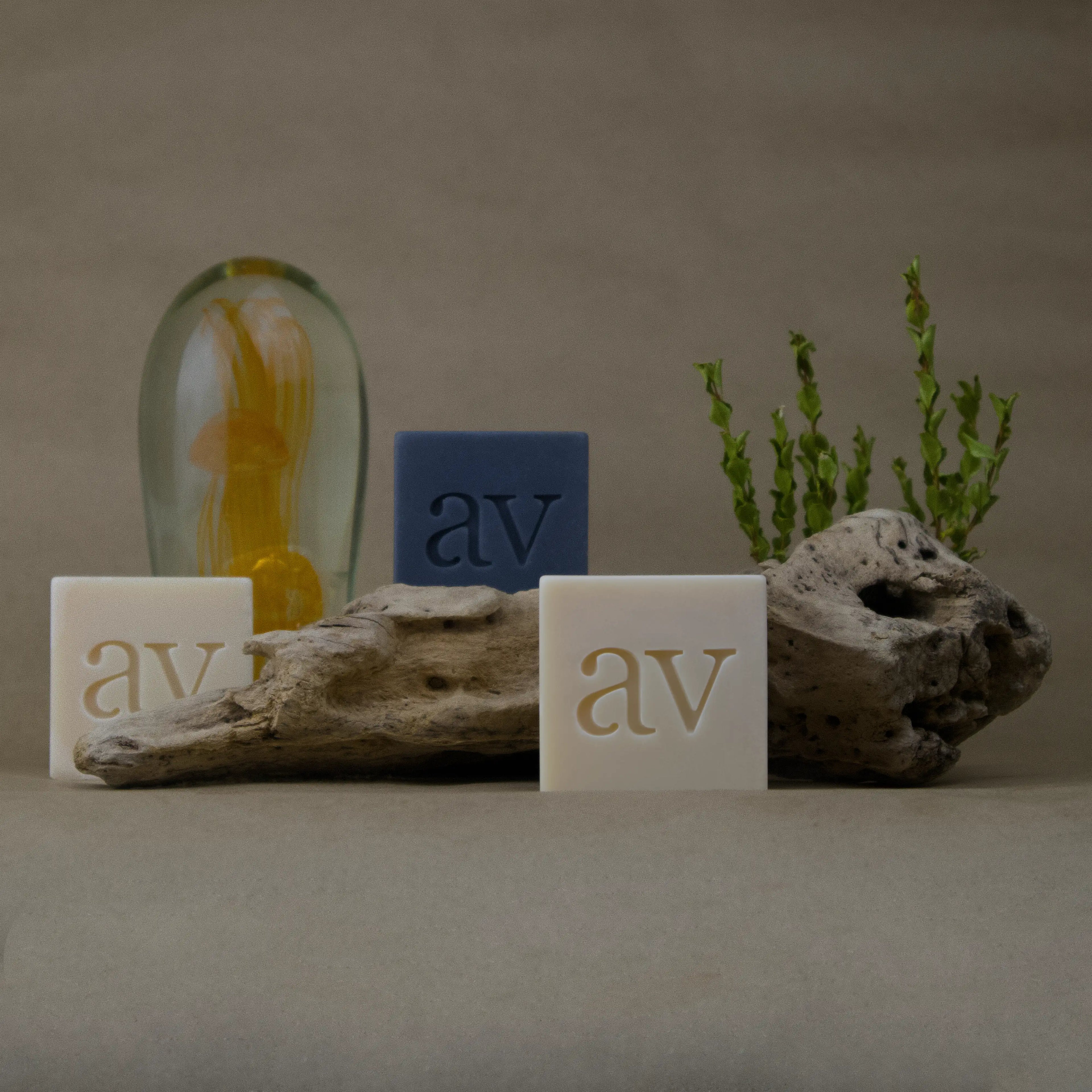 Skin Cleansing Bloks Collection | Aardvel